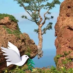 Meet your Posher, Peter